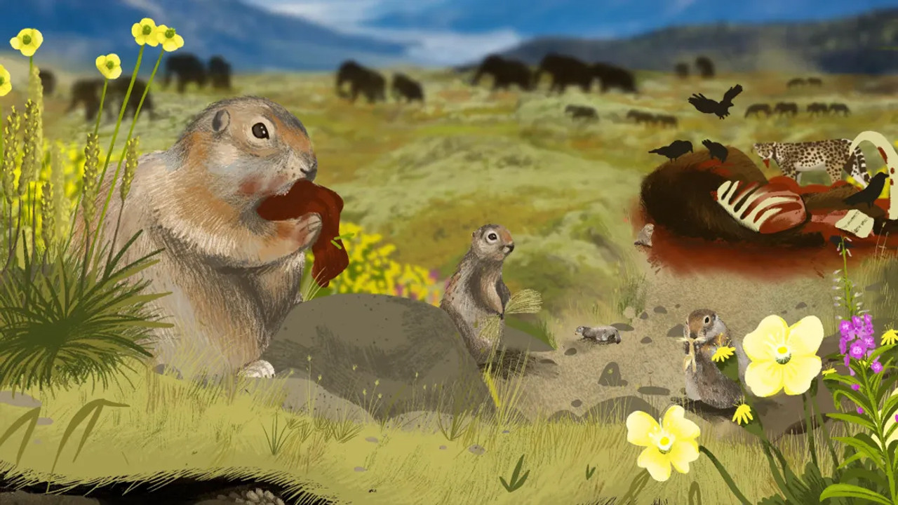 Sincapların karanlık geçmişi: Sandığımız kadar masum değillermiş